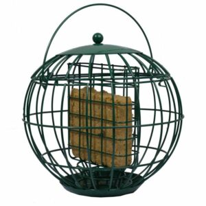 Birdcakehouder + beschermkap
