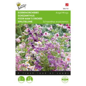 Buzzy® Schizanthus, Boerenorchidee Angel Wings