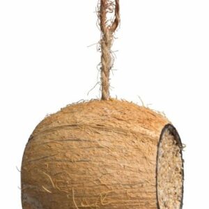 Cocosnoot gevuld Drum