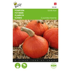 Buzzy® Pompoenen Uchiki Kuri
