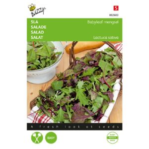 Buzzy® Sla Babyleaf mengsel