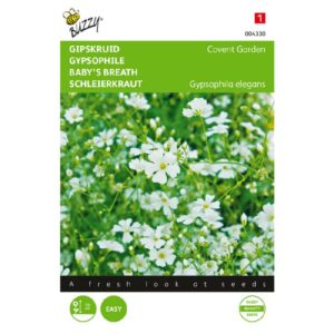 Buzzy® Gypsophila, Gipskruid Covent Garden
