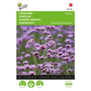 Buzzy® Verbena, IJzerhard Vanity