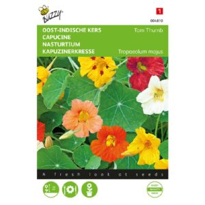 Buzzy® Tropaeolum, Oost-Indische kers Tom Thumb gemengd