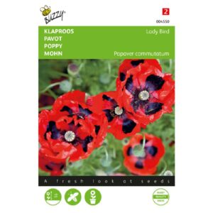 Buzzy® Papaver, Klaproos Lady Bird
