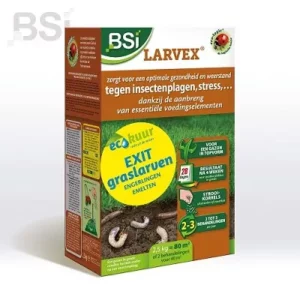 BSI Larvex voor 80m2