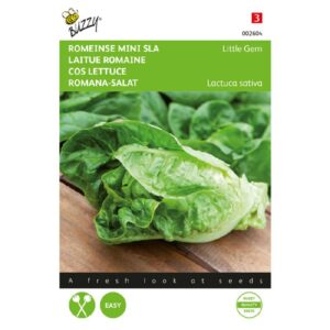 Buzzy® Romeinse Mini Sla Little Gem