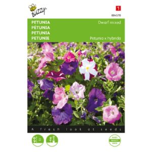 Buzzy® Petunia laag gemengd