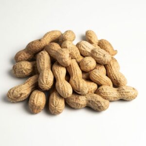 Pinda’s in dop 500gr