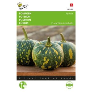 Buzzy® Pompoen Asterix (Panterprint)