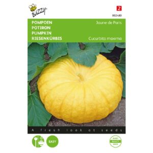 Buzzy® Pompoen Gele Reuzen