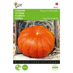 Buzzy® Pompoen Rode van Etampes