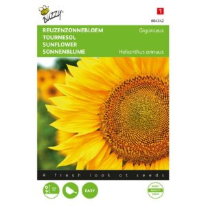 Buzzy® Helianthus, Reuzenzonnebloem Giganteus
