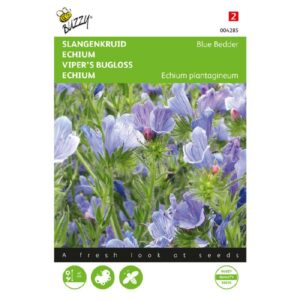 Buzzy® Echium, Slangenkruid Blue Bedder