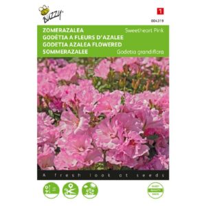Buzzy® Godetia, Zomer Azalea Sweetheart Pink