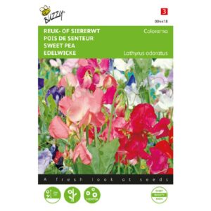 Buzzy® Lathyrus, Reuk- of siererwt Colorama