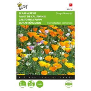 Buzzy® Eschscholzia, Slaapmutsje enkelbloemig gemengd
