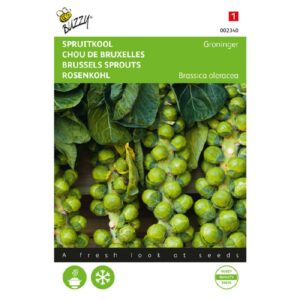 Buzzy® Spruitkool Groninger