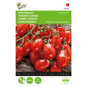 Buzzy® Tomaten Modus F1