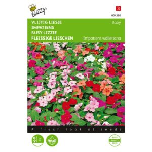 Buzzy® Impatiens, Vlijtig Liesje Baby gemengd
