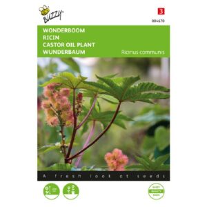 Buzzy® Ricinus, Wonderboom