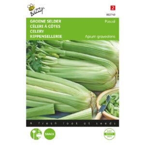 Buzzy  Bleekselderij Pascal, Groene Volpijp