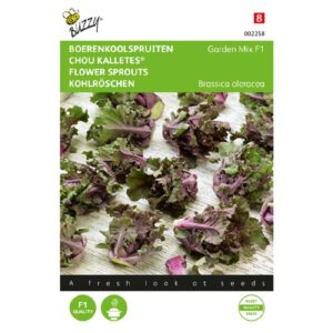 Buzzy Boerenkoolspruitjes, Kalettes Garden Mix F1