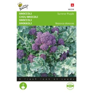 Buzzy Broccoli Summer Purple