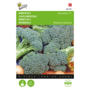 Buzzy Broccoli Marathon F1
