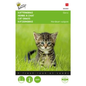Buzzy Kattengras Gerst
