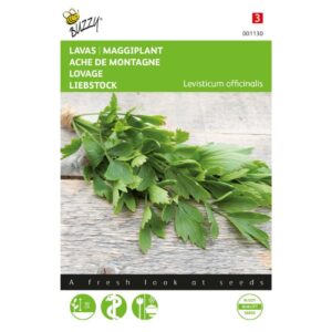 Buzzy® Lavas (Maggiplant)