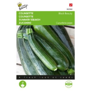 Buzzy Courgette Black Beauty - Verte De Milan