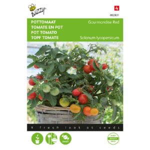 Buzzy Kerstomaat Micro Cherry