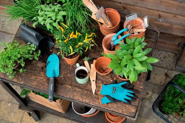 7 tips voor een goede moestuin 3 moestuin gereedschap