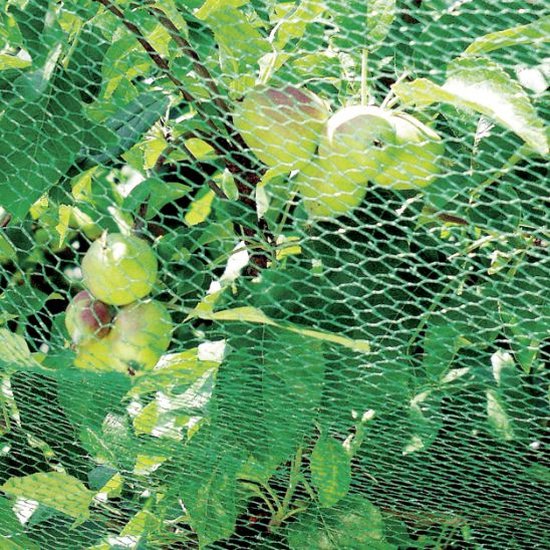 7 tips voor een goede moestuin 2 netten moestuin