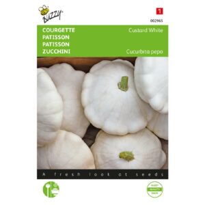 Buzzy Patisson Custard White