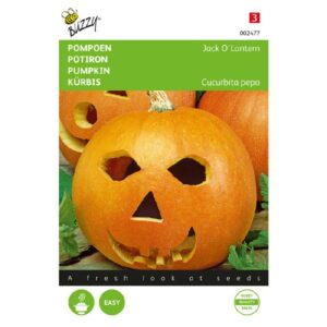 Buzzy Pompoenen Jack O'Lantern