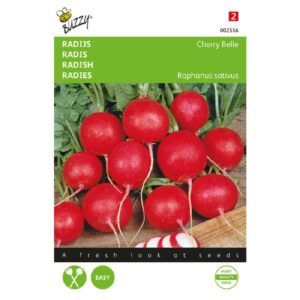 Buzzy Radijs Cherry Belle