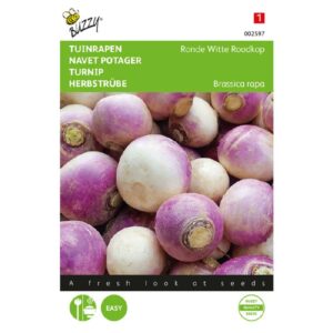 Buzzy Rapen Ronde Witte Roodkop