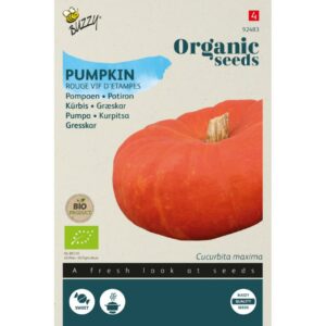 Buzzy Organic Pompoen Rode van Etampes (BIO)