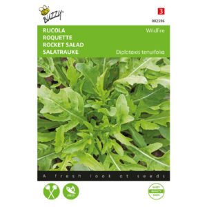Buzzy Rucola Wasabi