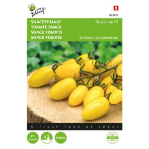 Buzzy Snacktomaat Dattolime F1