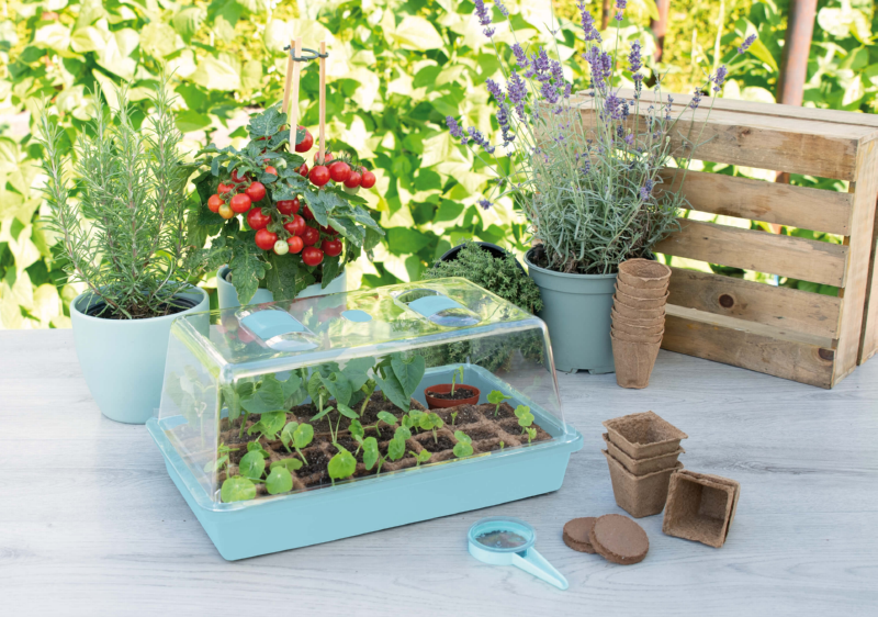 7 tips voor een goede moestuin 1 tips goede moestuin