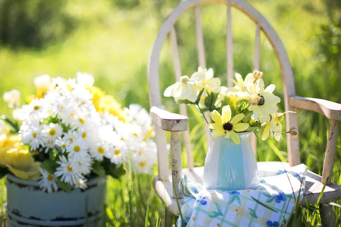 Maak uw tuin op tijd lenteklaar 2 tips tuin lenteklaar