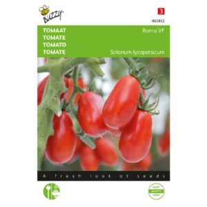 Buzzy Tomaat Roma VF