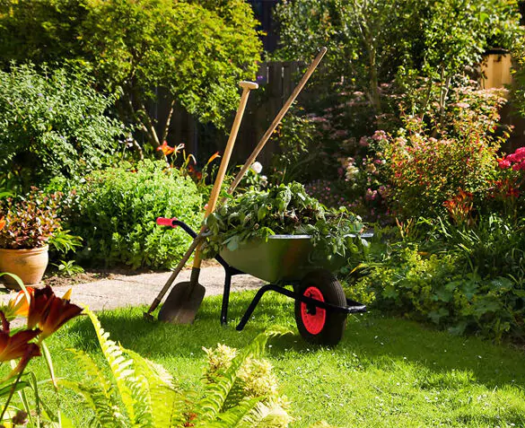 tuinproducten