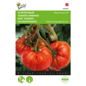Buzzy Vleestomaat Marmande VR