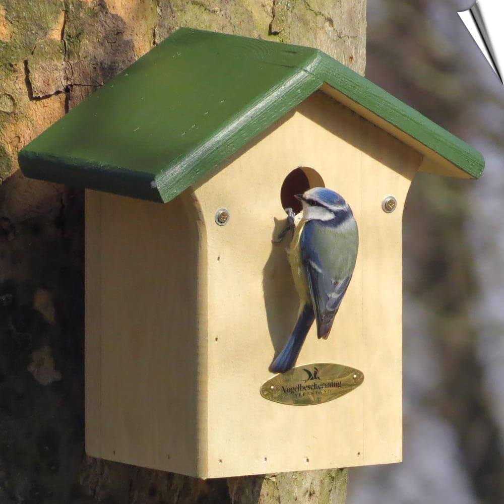 vogelvriendelijke tuin tips